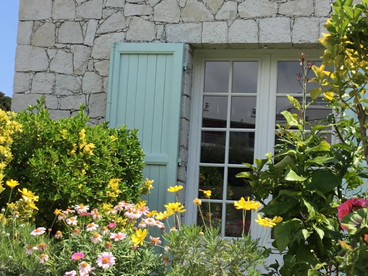 Villa Alessia 앙티브 외부 사진