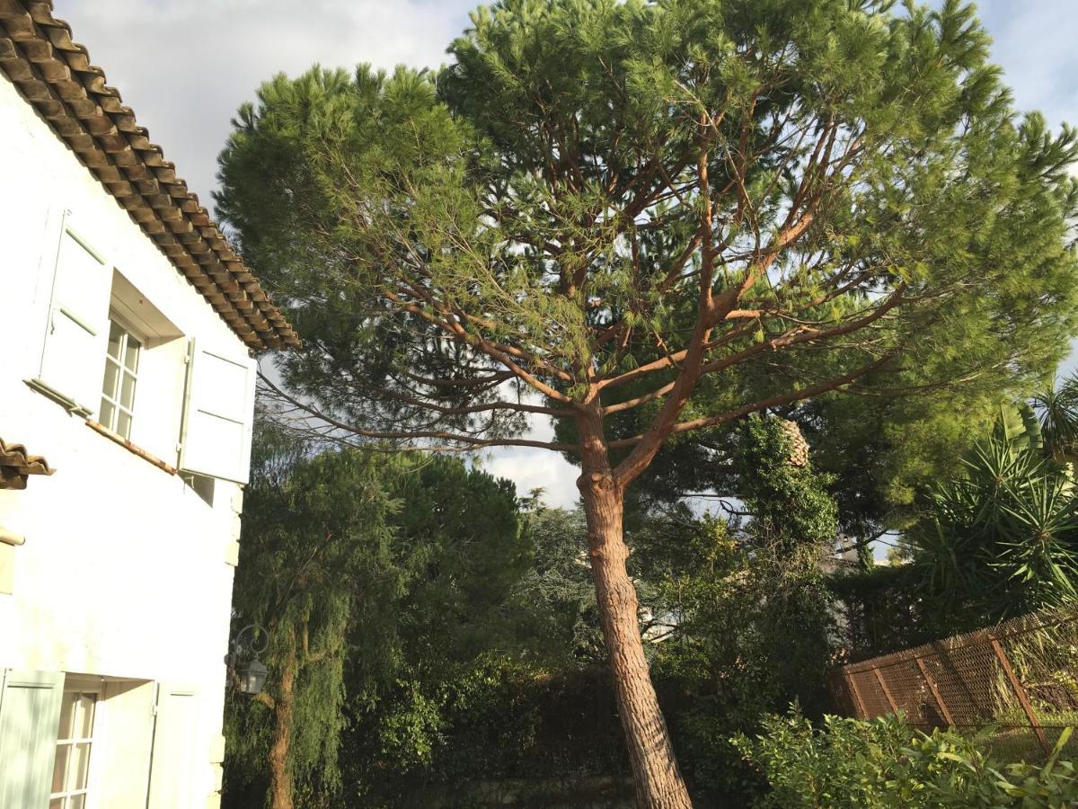 Villa Alessia 앙티브 외부 사진