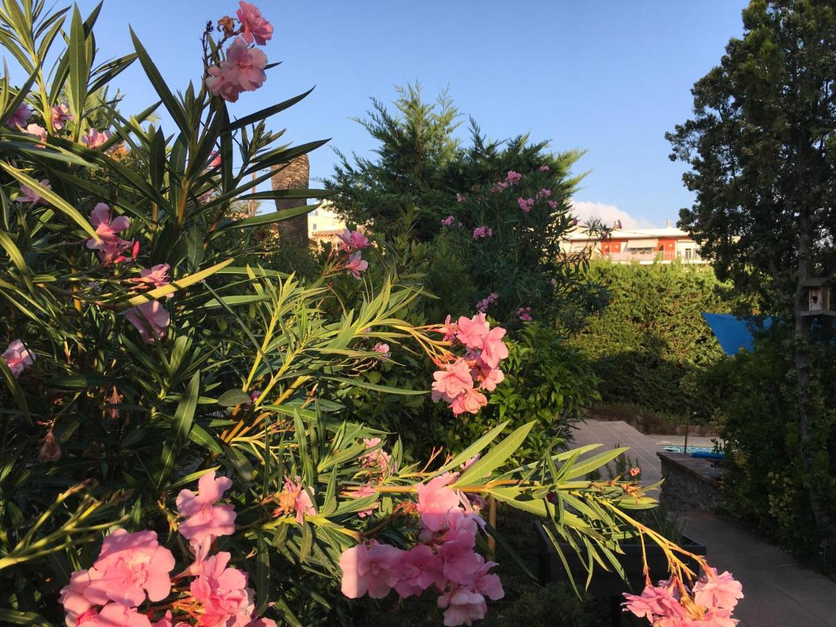 Villa Alessia 앙티브 외부 사진