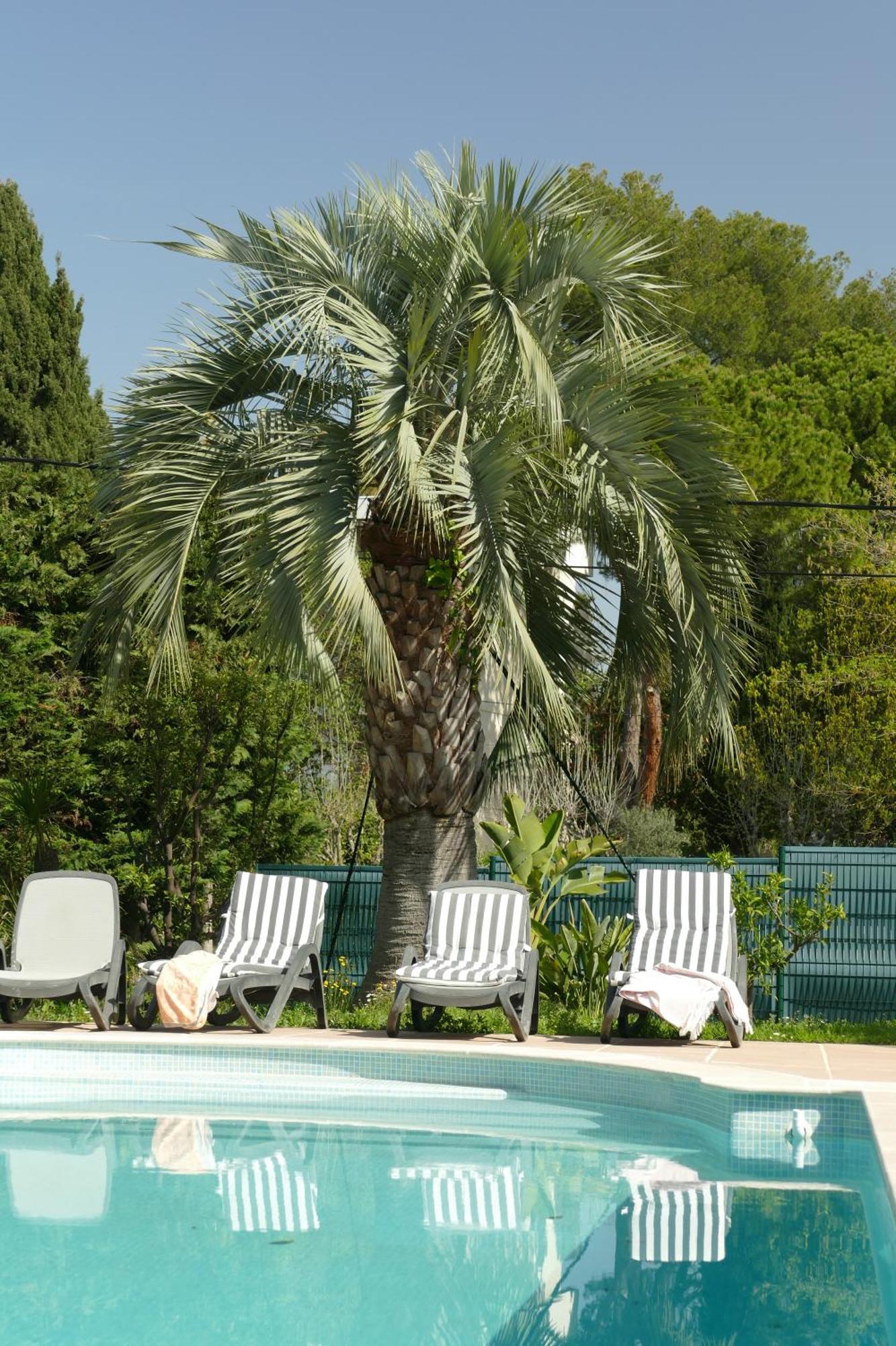 Villa Alessia 앙티브 외부 사진
